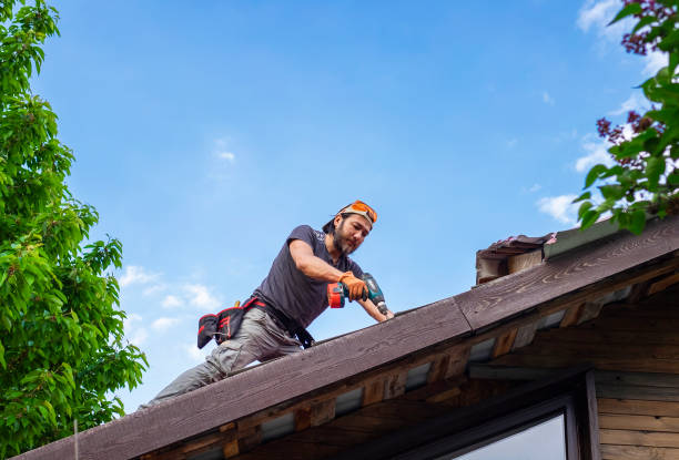 Steel Roofing in Waverly, NE