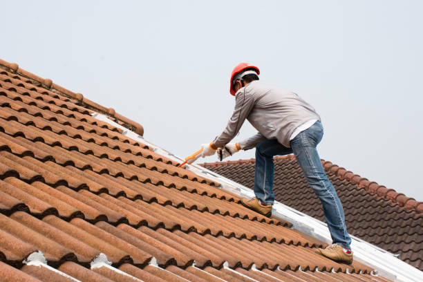 Best Roof Restoration  in Waverly, NE