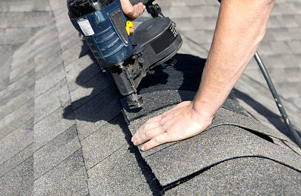 Best Roof Leak Repair  in Waverly, NE