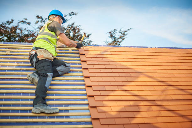 Best Roofing for New Construction  in Waverly, NE